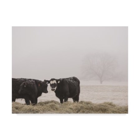 Trademark Fine Art Adam Mead 'Farm Study I' Canvas Art, 18x24 WAG06505-C1824GG